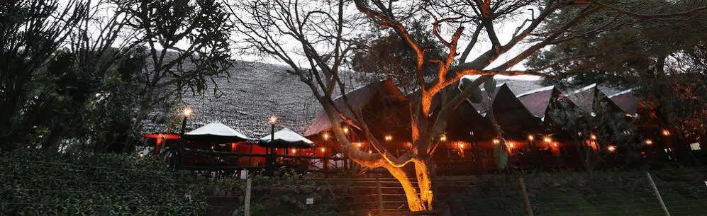 Mara River Lodge Aitong Kültér fotó